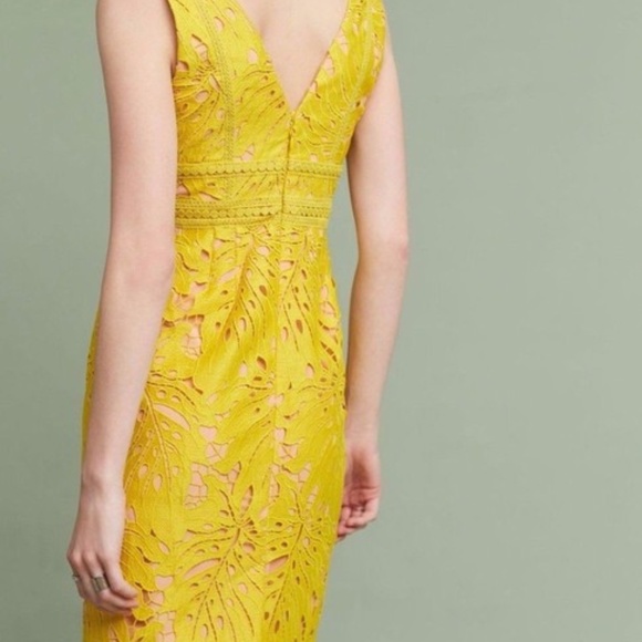 ANTHRO MAEVE Gardenia Lace Column Sheath Dress 4 - Picture 2 of 9